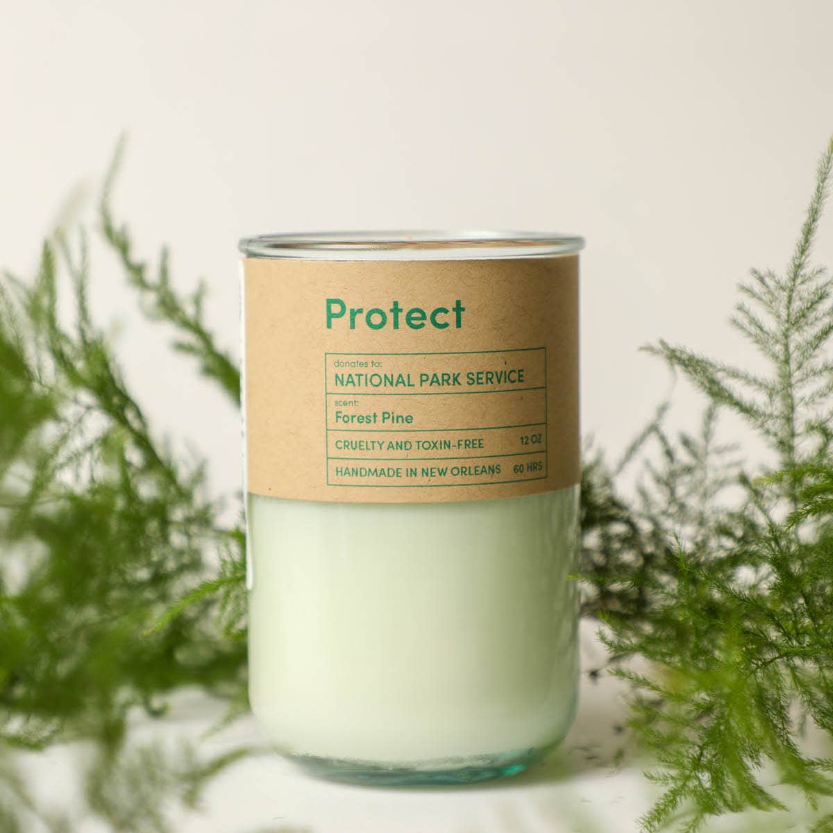 Protect Forest Pine Scent Candle, Park Service Eco Coco Soy