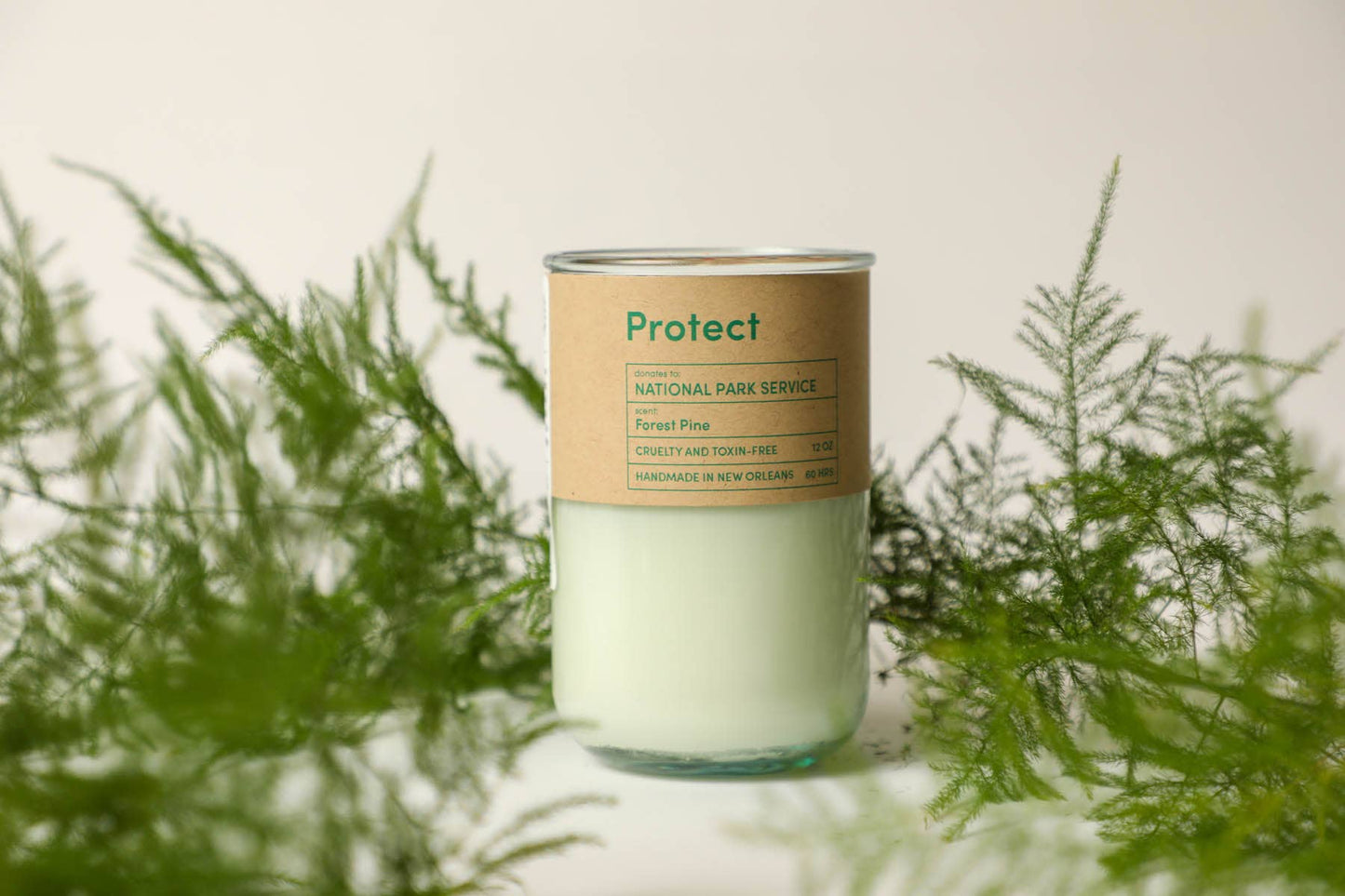 Protect Forest Pine Scent Candle, Park Service Eco Coco Soy