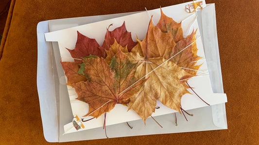 Dried Norway Maple Leaf Garland - Natural Forest Decor