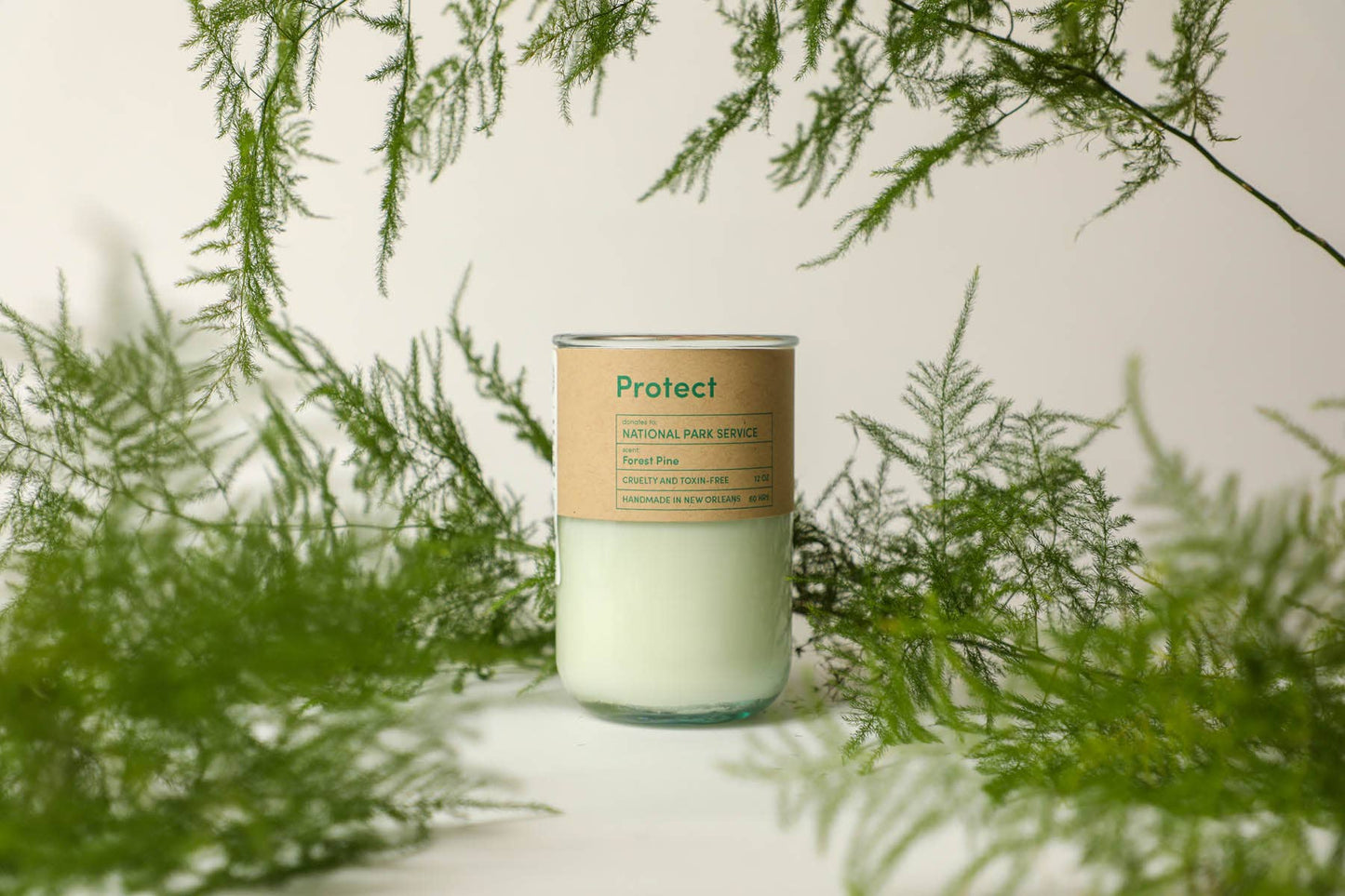 Protect Forest Pine Scent Candle, Park Service Eco Coco Soy