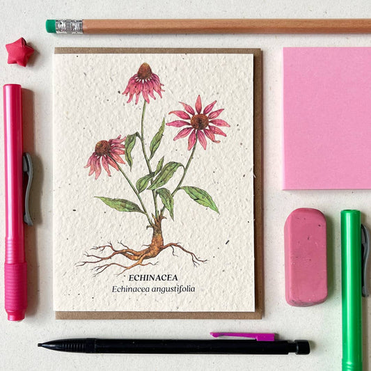 Echinacea Plantable Wildflower Seed Card