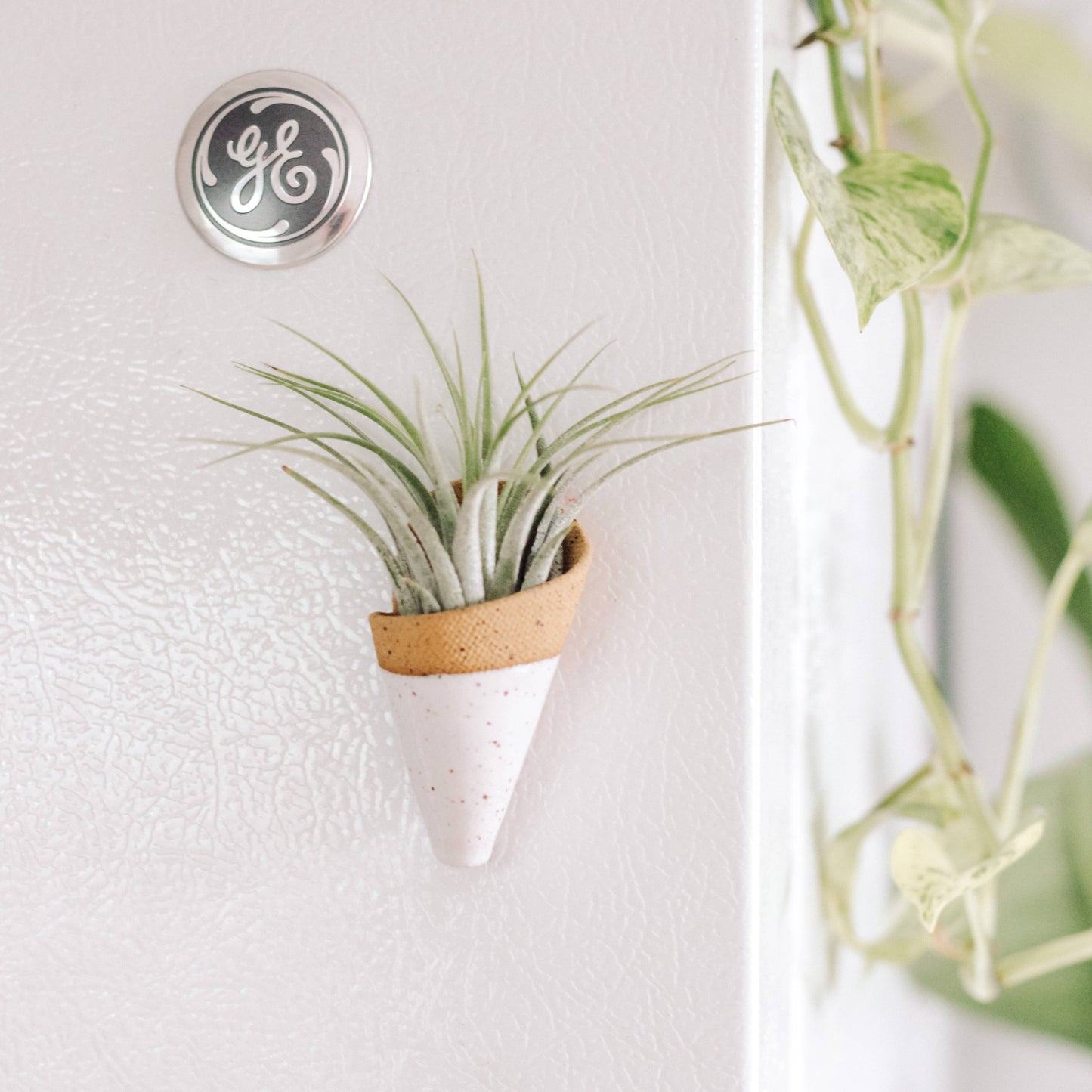 Tiny Ceramic Magnet Planter