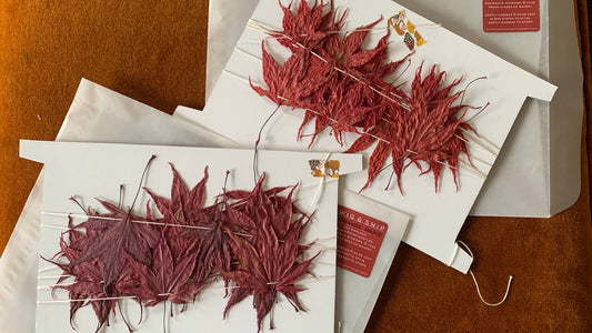 Dried Red Japanese Maple Leaf Garland - Fairy Decor