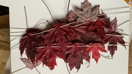 Dried Silver Maple Leaf Garland - Cottage Decor