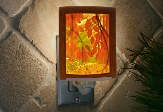 "Secret Path" Curved Colored Fall Season Night Light